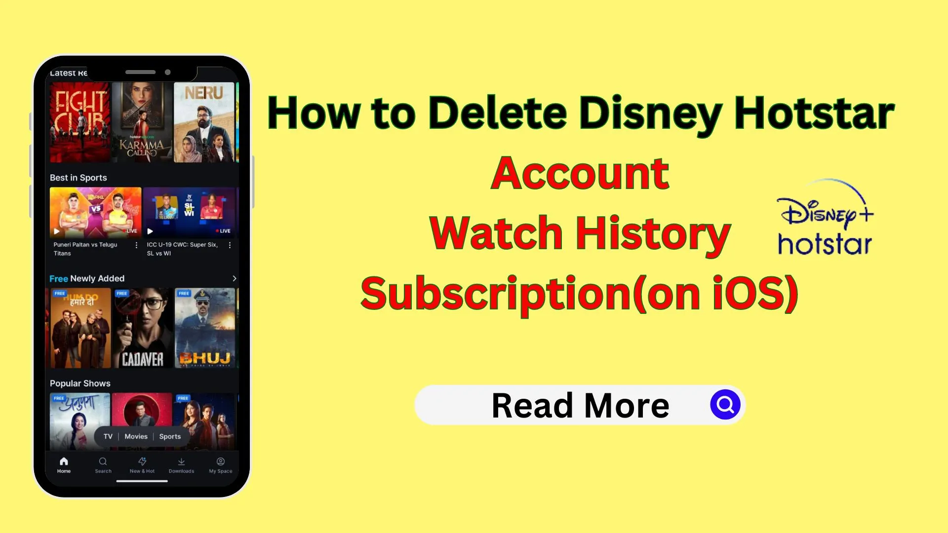 Disney Hotstar account