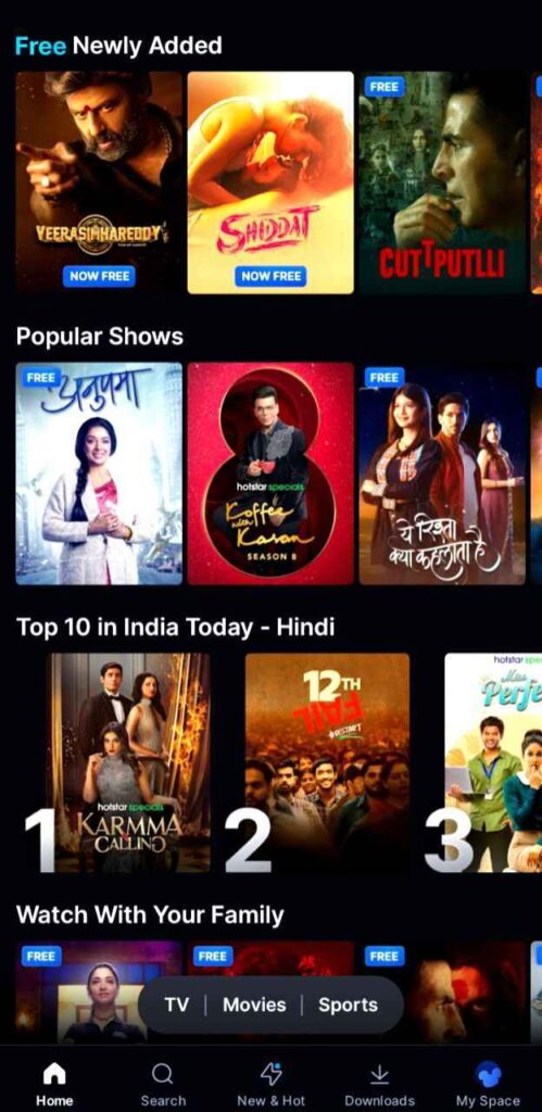 Disney Hotstar Interface