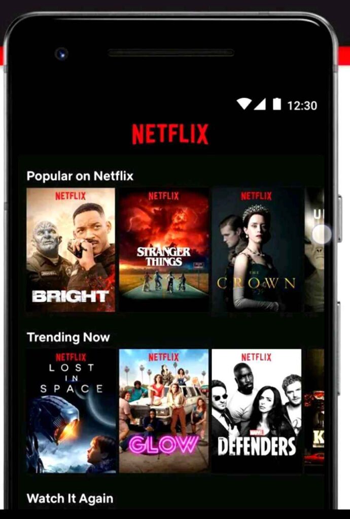 Netflix Interface